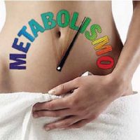 Toma Nota La importancia del metabolismo