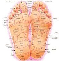 Salud Holística, Que es la Reflexología ?