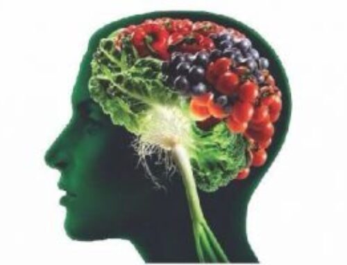 Nutrientes: Pilar Esencial para la Salud y el Bienestar