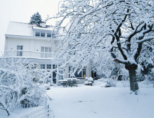 Recomendaciones frente al frío extremo y las nevadas intensas