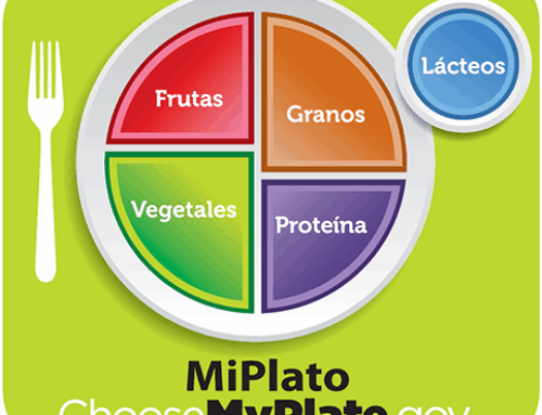 Novedades, El Plato Saludable
