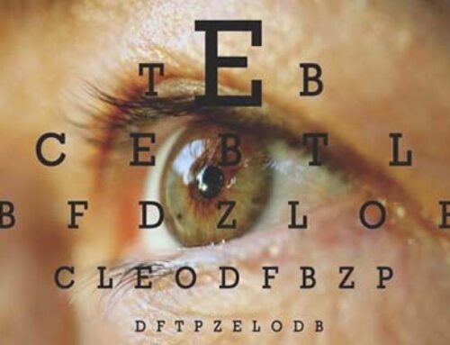 Investigadores del NIH identifican los circuitos cerebrales responsables de la agudeza visual