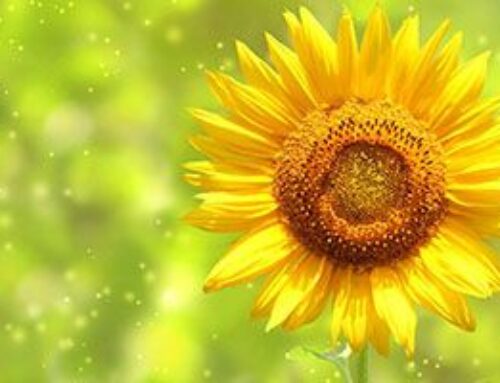 Recomendaciones saludables para la primavera