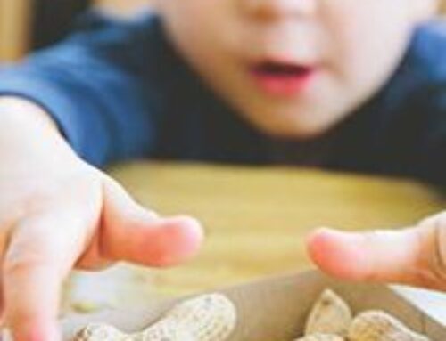 Alimentación Infantil: Guía Esencial para Niños de 2 y 5 Años