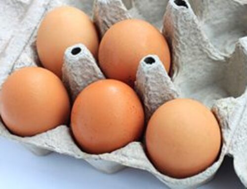 Brotes recientes de salmonela en 2025