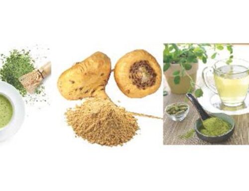 Cómo funcionan los “recalls” o retiro de productos en Estados Unidos: proceso, retos y mejores prácticas