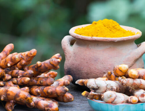 Jengibre y Cúrcuma: Dos Raíces Milenarias Bajo la Lupa de la Ciencia Moderna