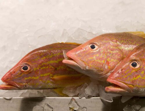 Manera de minimizar el desperdicio de alimentos y mantener el pescado fresco