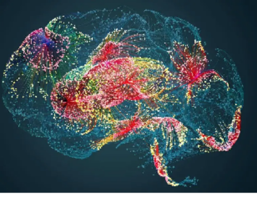 Investigadores utilizan la actividad cerebral del habla para ayudar a detectar enfermedades neurodegenerativas