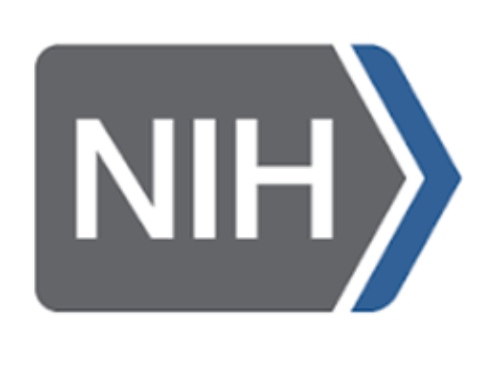 Attend NINR’s 2025 Artificial Intelligence Bootcamp! From ne 2, 2025 to June 3, 2025