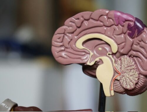 Investigadores de Mayo Clinic validan prueba de sangre para diagnosticar Alzheimer en clínicas ambulatorias de memoria