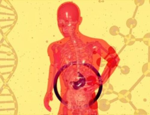 Estudio de Mayo Clinic revela beneficios para la salud a largo plazo de la cirugía bariátrica y el trasplante de hígado