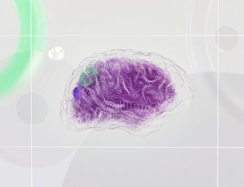 Mayo Clinic revela cambios en las células cerebrales que podrían explicar el síndrome de Tourette
