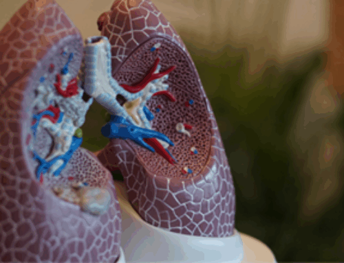 Descubrimiento de Mayo Clinic revela cómo se reparan los pulmones, abriendo puertas a terapias regenerativas