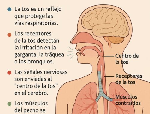 La Tos, sus causas y qué dice la ciencia