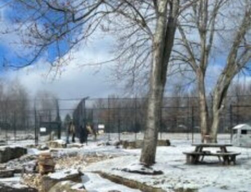 Recomendaciones para Protejerse del Frío durante el Invierno en Estados Unidos