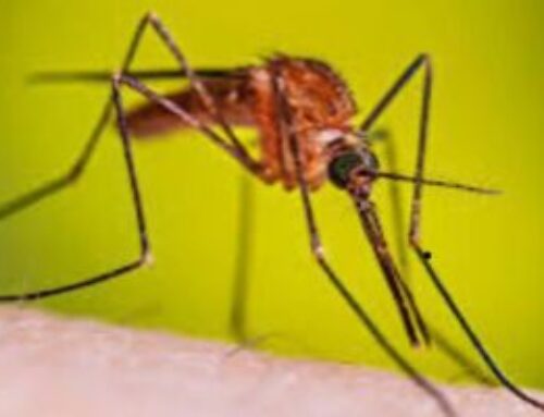 Día de la Malaria en las Américas