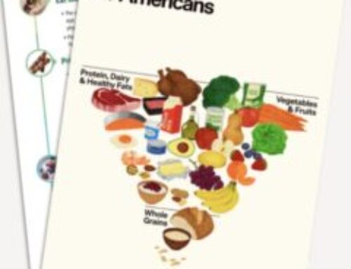 Cambios realizados a la Guía Dietética para los Norteamericanos