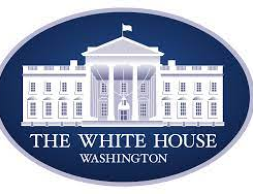 El impulso a terapias psicodélicas en Estados Unidos