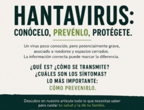 Hantavirus: el virus que vuelve a preocupar
