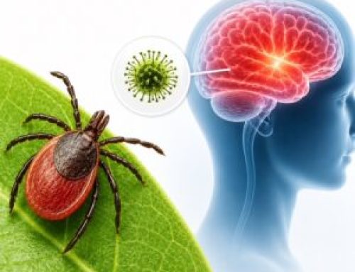 Virus Powassan: la enfermedad transmitida por garrapatas que preocupa a los especialistas por su impacto neurológico