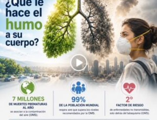 ¿Qué le hace el humo a su cuerpo? Los peligros ocultos de la contaminación del aire